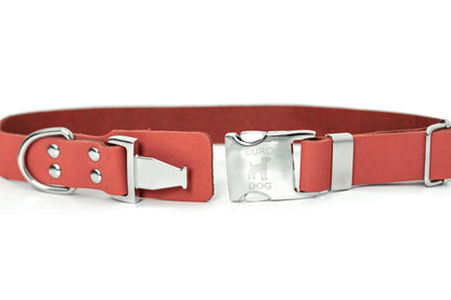 Coral Reef Leather Dog Collar