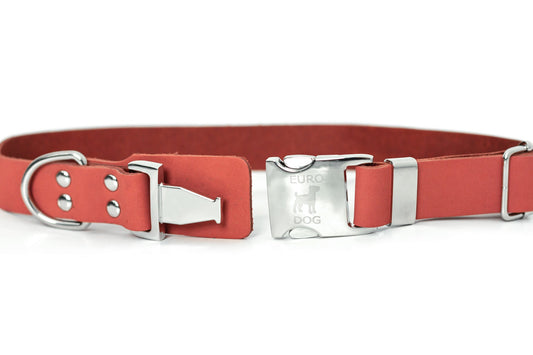 Coral Reef Leather Dog Collar
