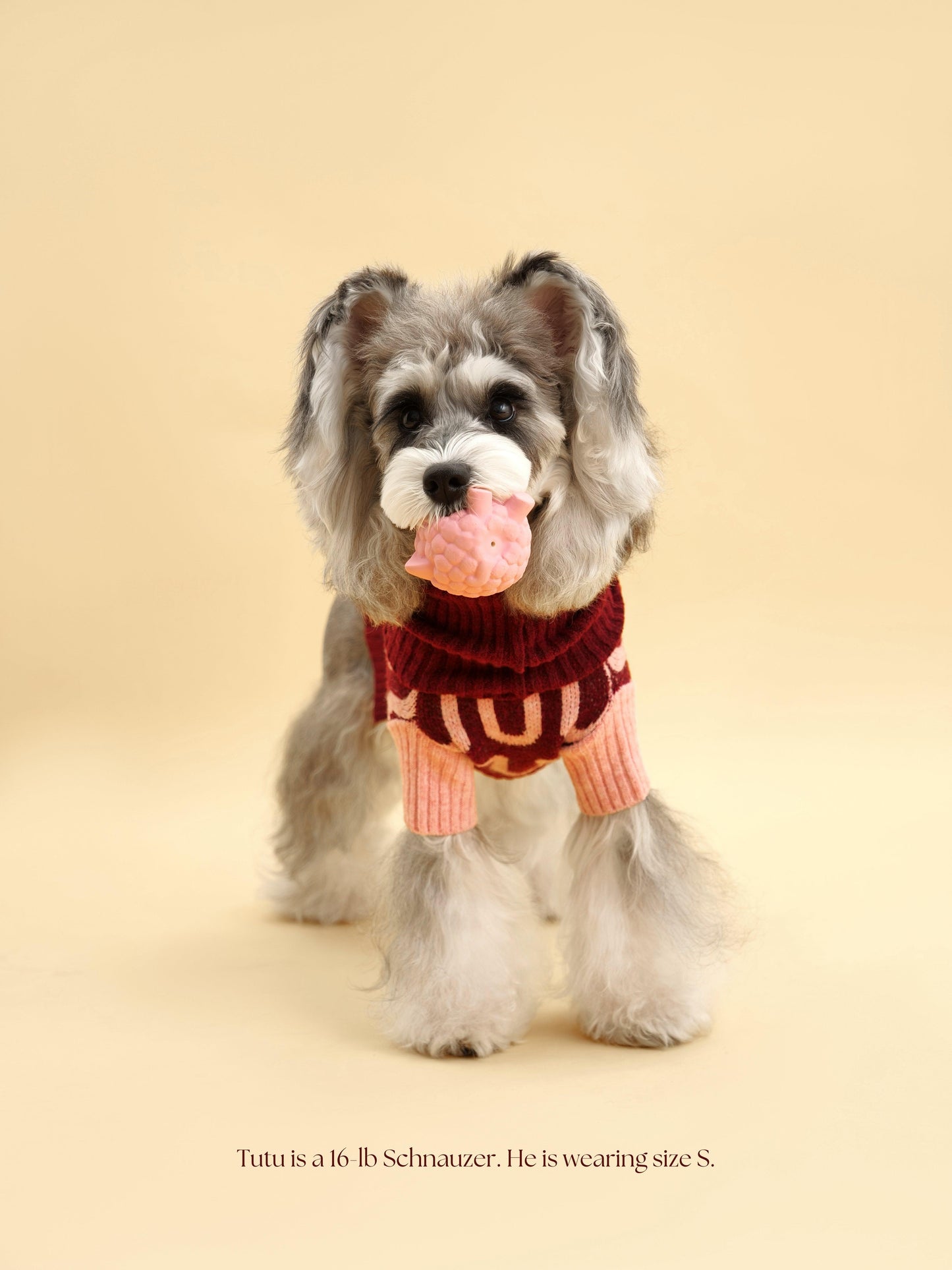 Dog Rosé Bliss Sweater