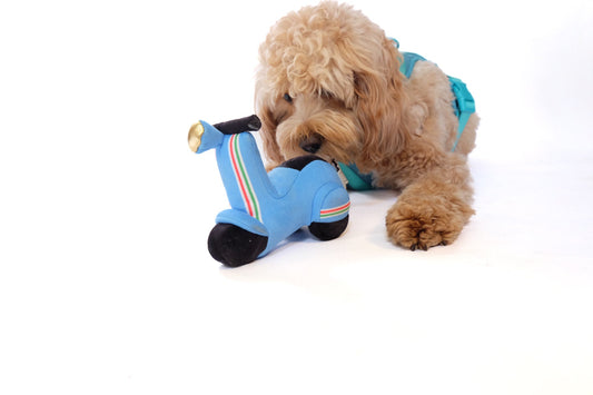 Scooter Pet Plush Toy