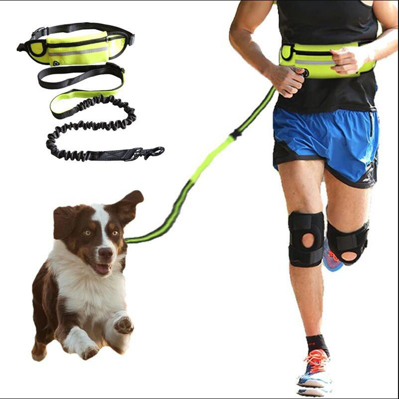 Hands Free Dog Belt Leash