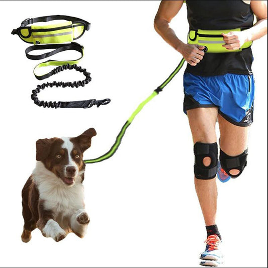 Hands Free Dog Belt Leash