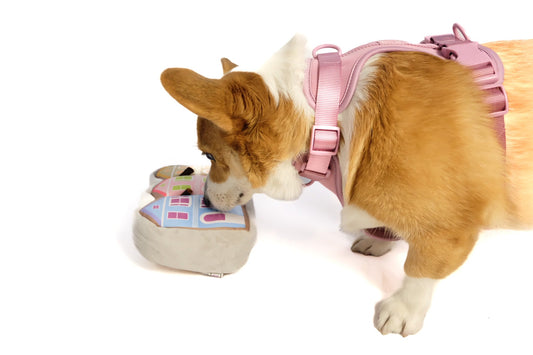 Painted Ladies Dog Plush Toy