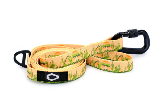 Yellow Cactus Cream Nylon Dog Leash