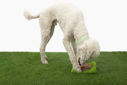 Hollywoof Dog Plush Toy