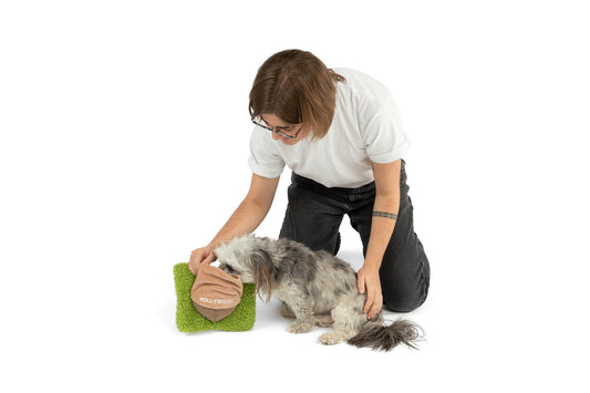 Hollywoof Dog Plush Toy