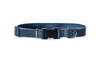 Sport Style Blue Leather Dog Collar