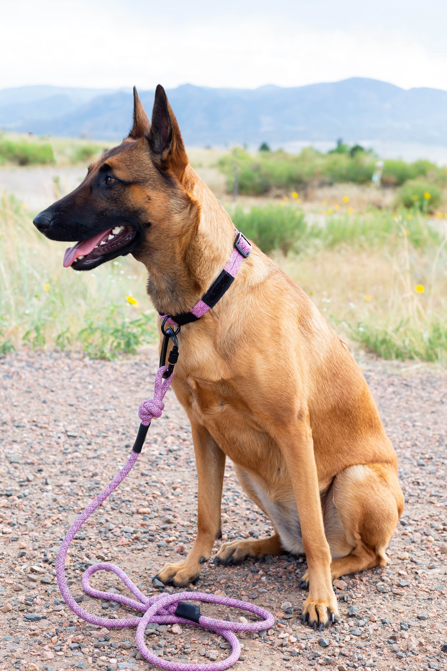 Pink Style Mountain Climbing Dog Leash