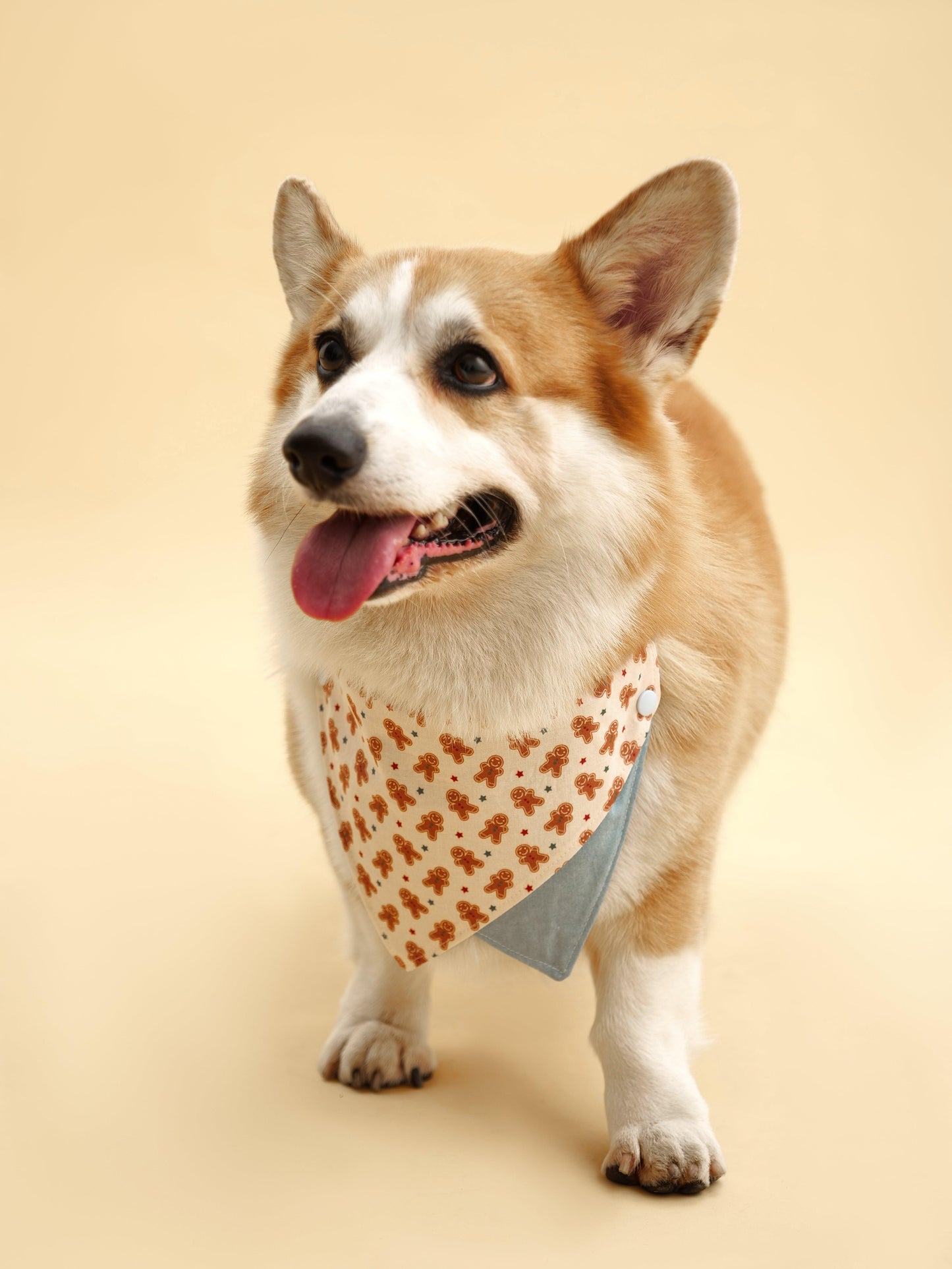 Gingerbread Man Pet Bandana