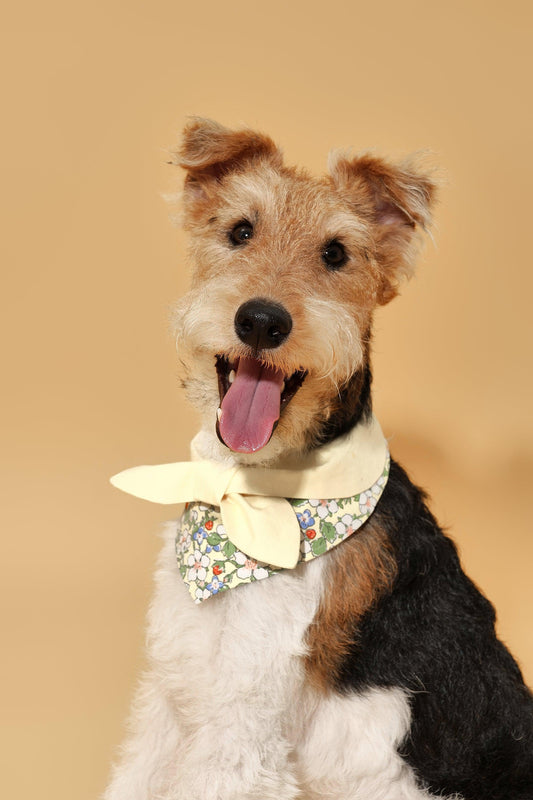 Butter Yellow Floral Bandana