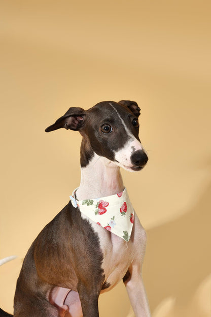 Strawberry/ Yellow Bandana