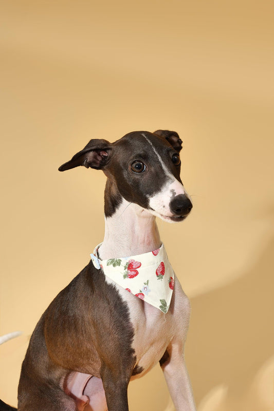 Strawberry/ Yellow Bandana