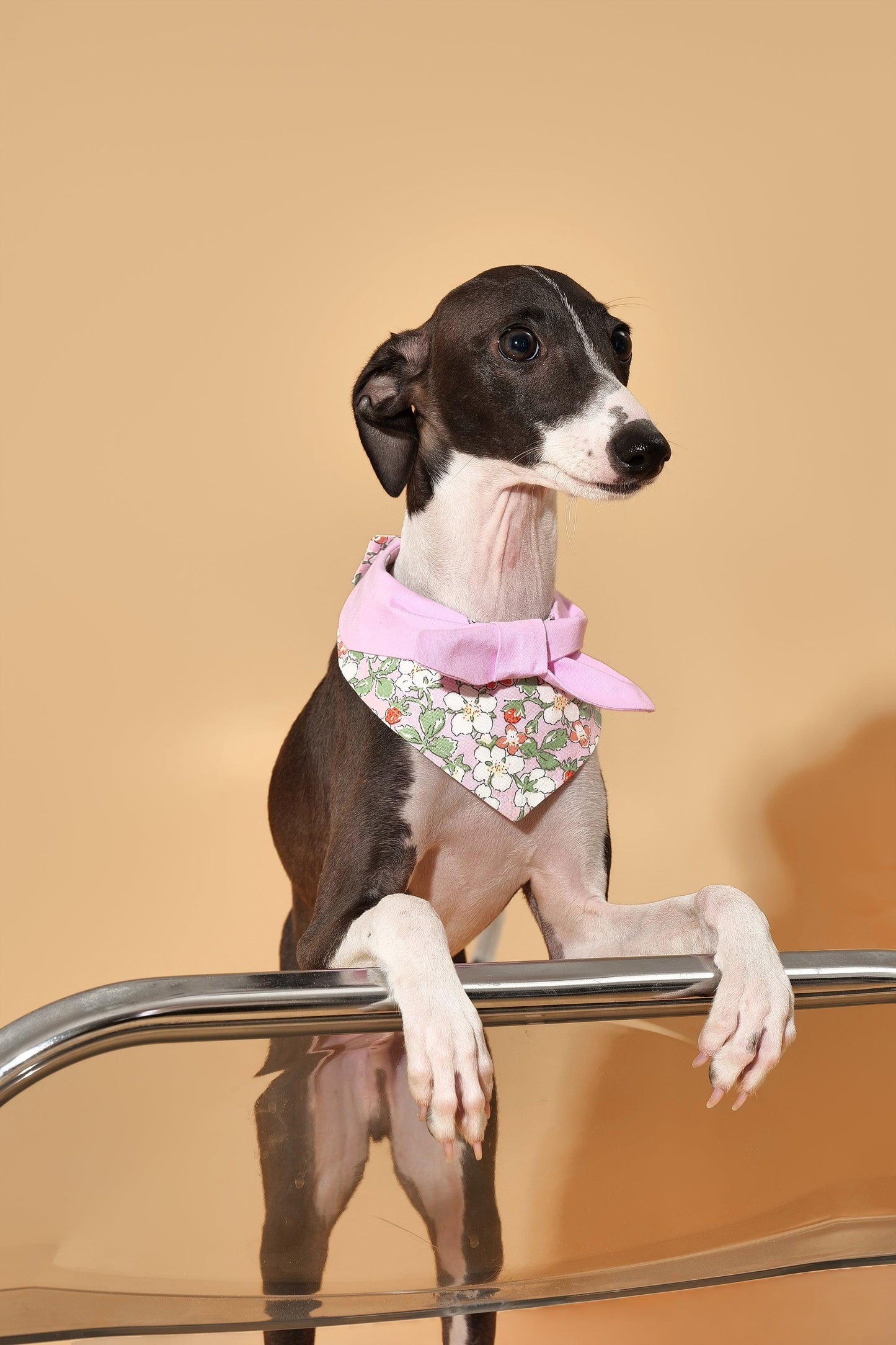 Garden Pink Floral Bandana