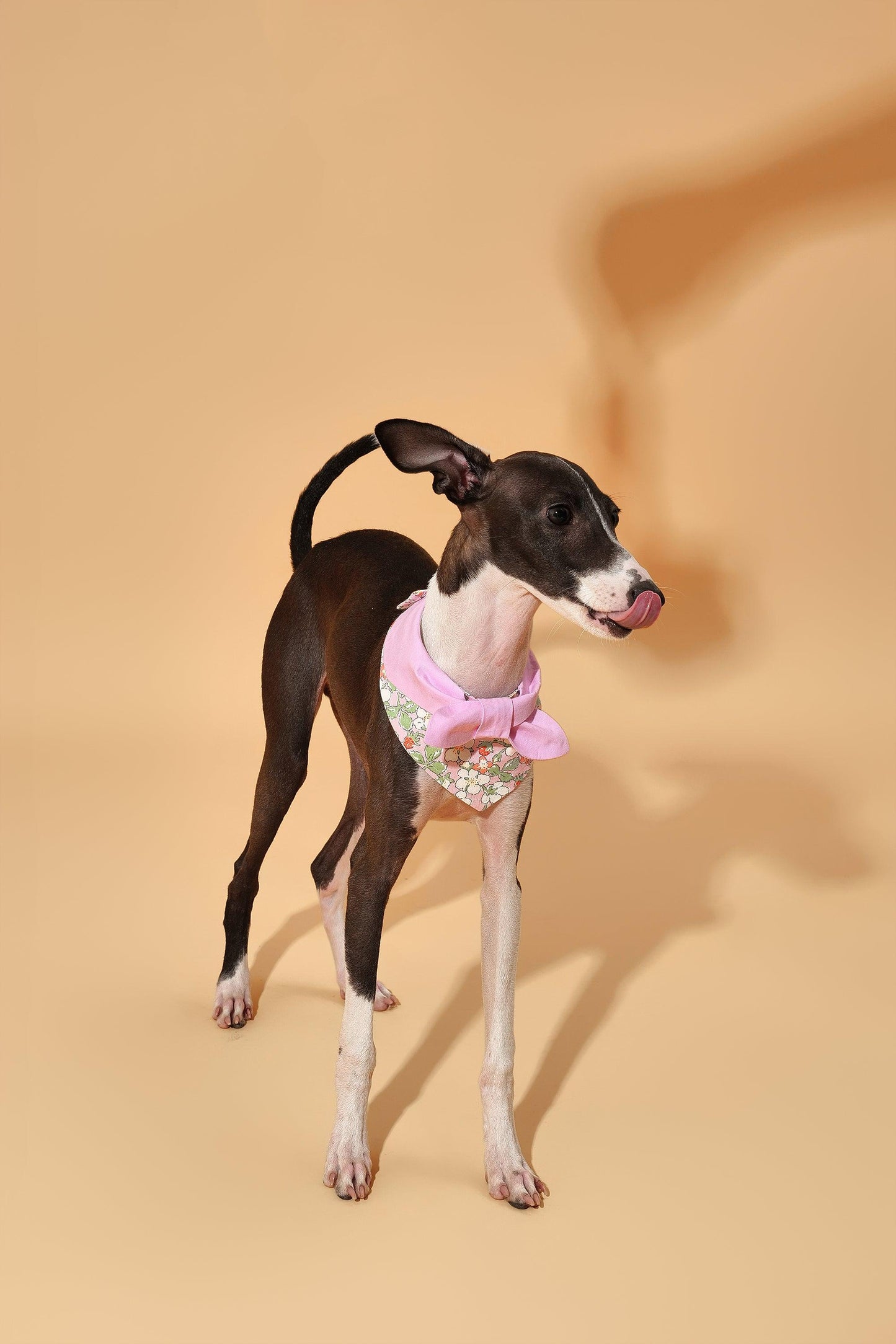 Garden Pink Floral Bandana