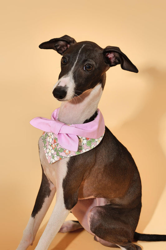 Garden Pink Floral Bandana