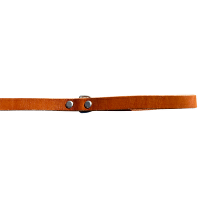 48" Genuine Leather Dog Leashes