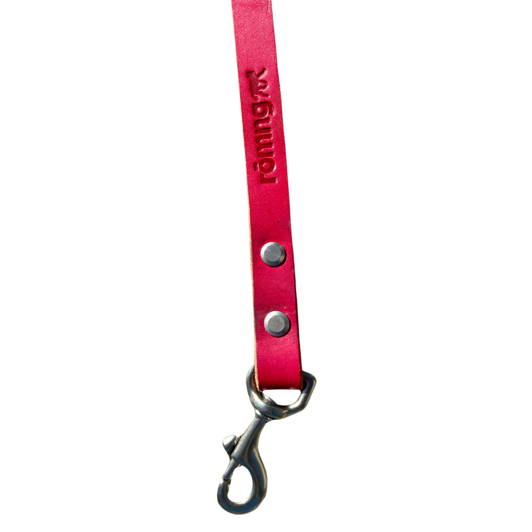 48" Genuine Leather Dog Leashes